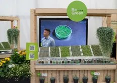 Be Green is een merk van Benary en garandeert dat zaden chemie-vrij en zonder gebruik van microplastics worden behandeld.